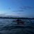 Event photo entry
