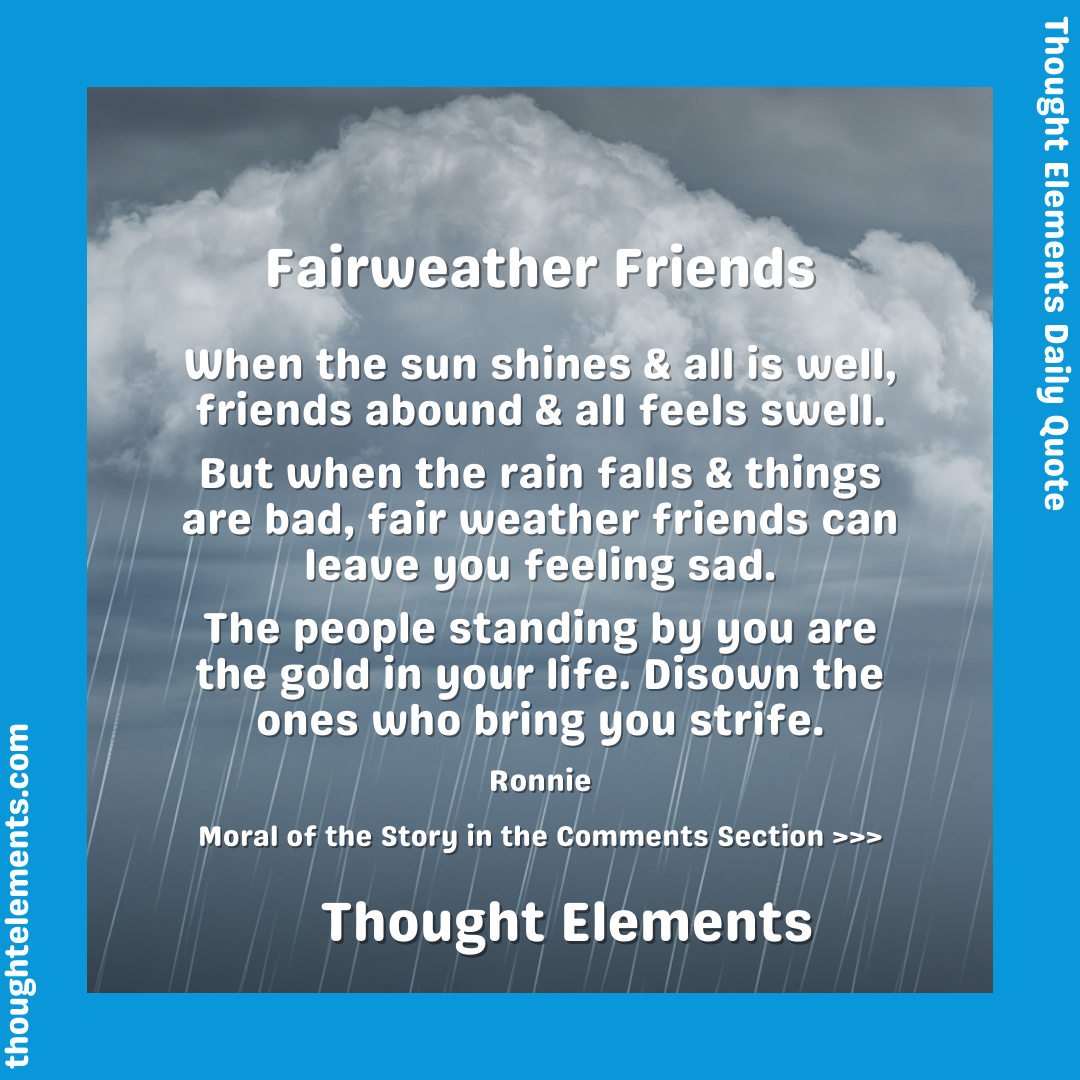 Article / Fair Weather Friends