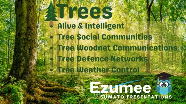 Ezumee Tree Story Event Link