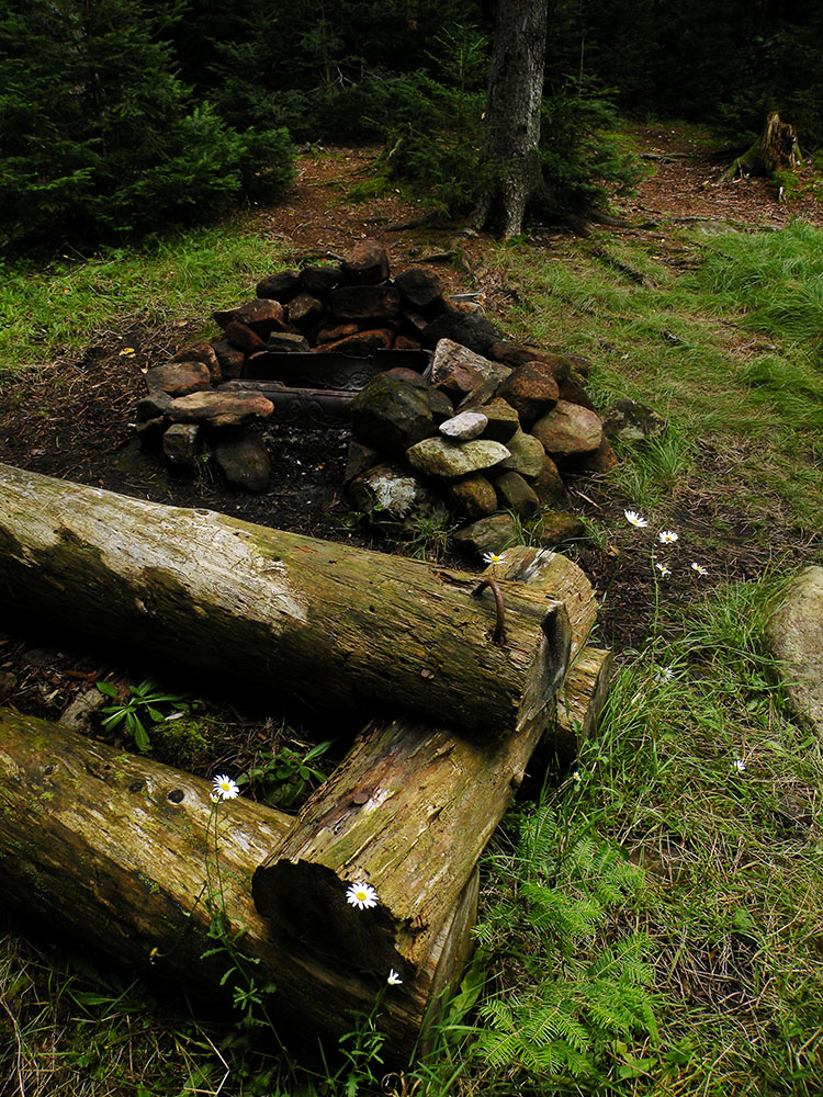 Whitney Lake Fireplace