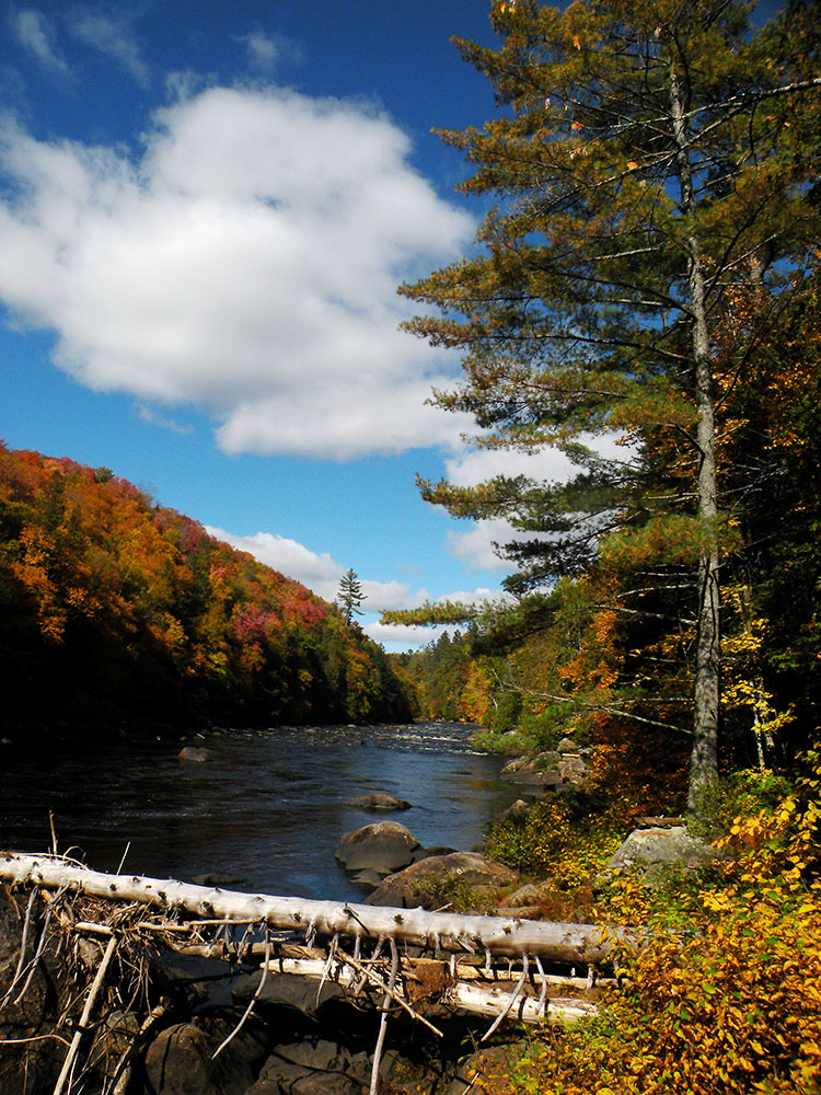 Hudson River in Fall